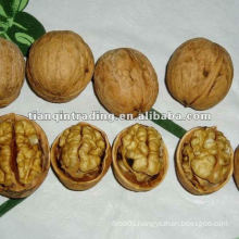 Chinese walnuts in Shell